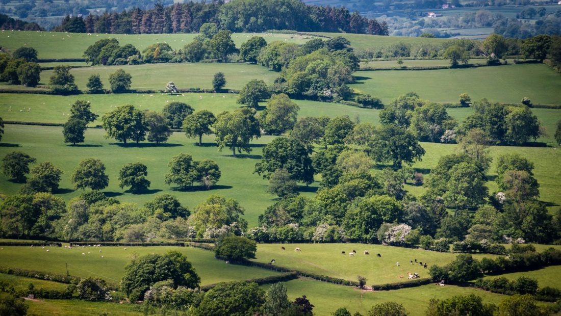 Shropshire